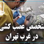 متخصص عصب کشی در غرب تهران