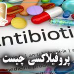 پروفیلاکسی چیست