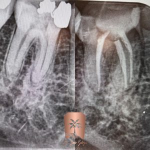 Marzdaran Dental Clinic