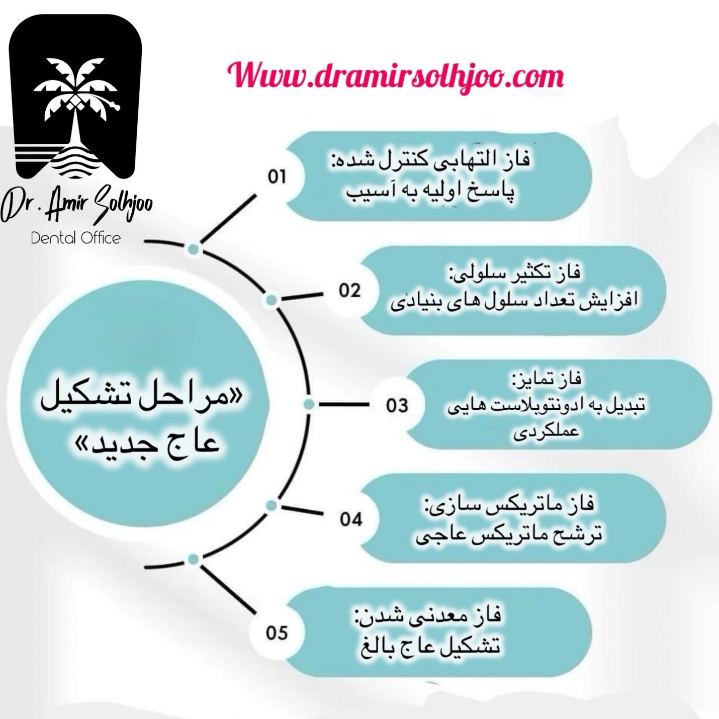 عاج زایی جدید دندان
