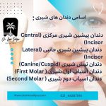 اسم دندان ها