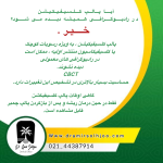 پالپ کلسفیکیشن