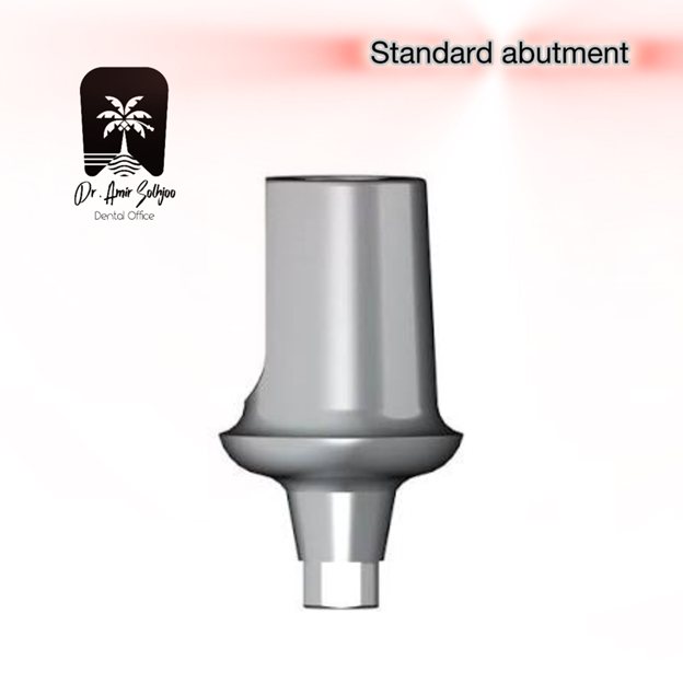 اباتمنت استاندارد