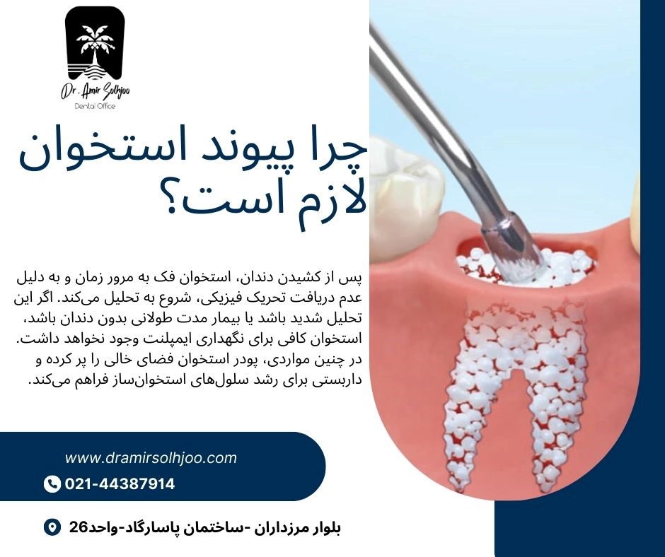 پودر استخوان