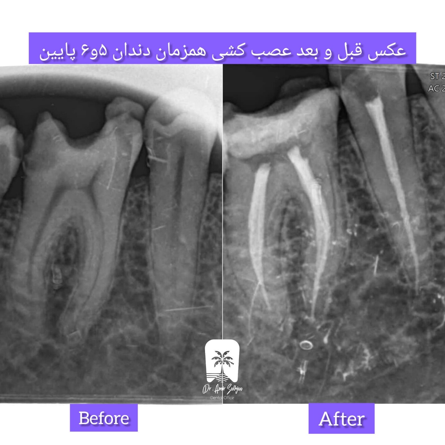 دندانپزشکی شبانه روزی در تهران