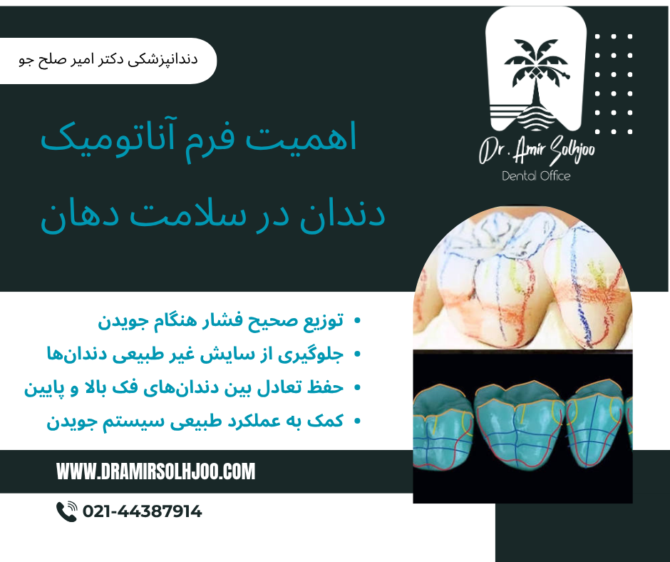 فرم آناتومیک دندان